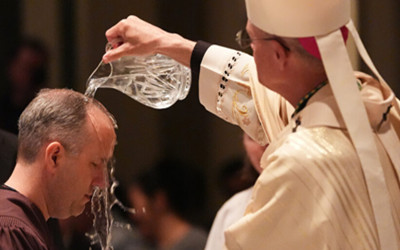 WHY WE ARE NOT IN A CATHOLIC REVIVAL — DESPITE INCREASE IN ADULT BAPTISMS