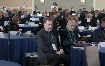 CATHOLIC BISHOPS APPROVE REVISED ABUSE GUIDELINES DESPITE CALLS FOR BROADER REFORM 