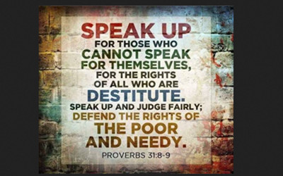 BE A VOICE FOR THE VOICELESS
